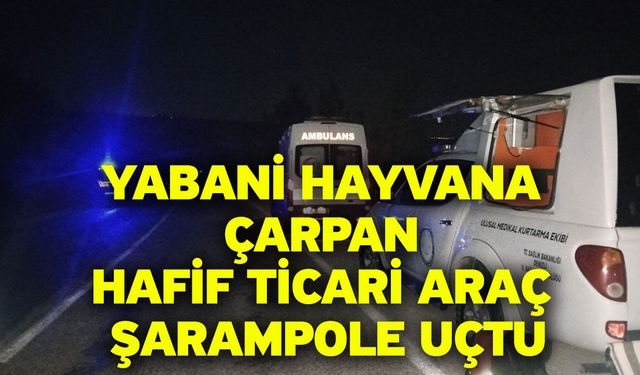 Yabani hayvana çarpan hafif ticari araç şarampole uçtu