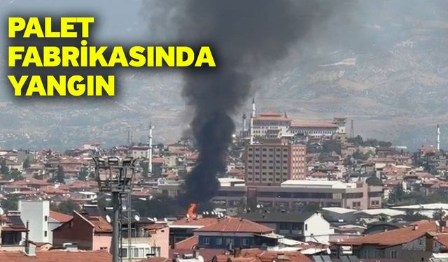 Palet fabrikasında yangın