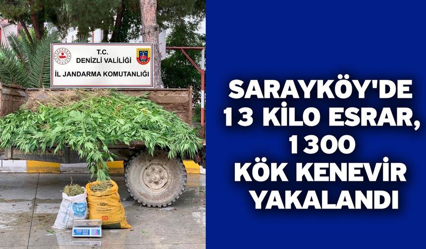 Sarayköy'de 13 kilo esrar, 1300 kök kenevir yakalandı