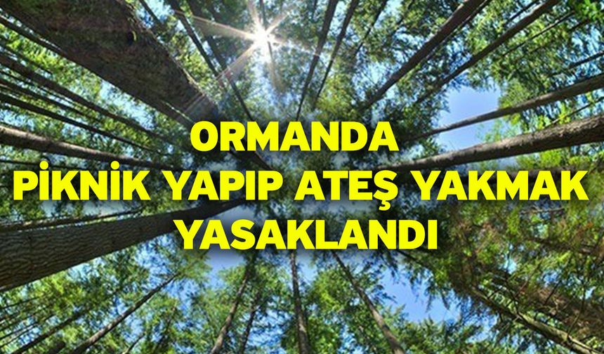 Denizli’de Ormanlara Giriş Yasaklandı