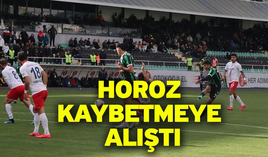 Horoz kaybetmeye alıştı