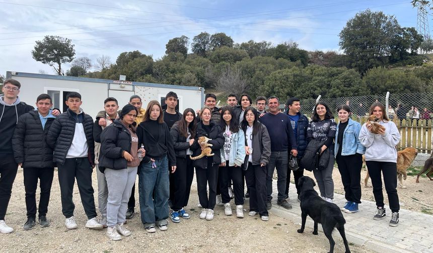 Lise öğrencileri, Kedi ve Köpek Misafirhanesini ziyaret etti
