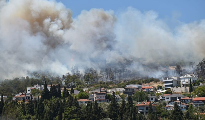 Urla ve Çeşme'de orman yangını