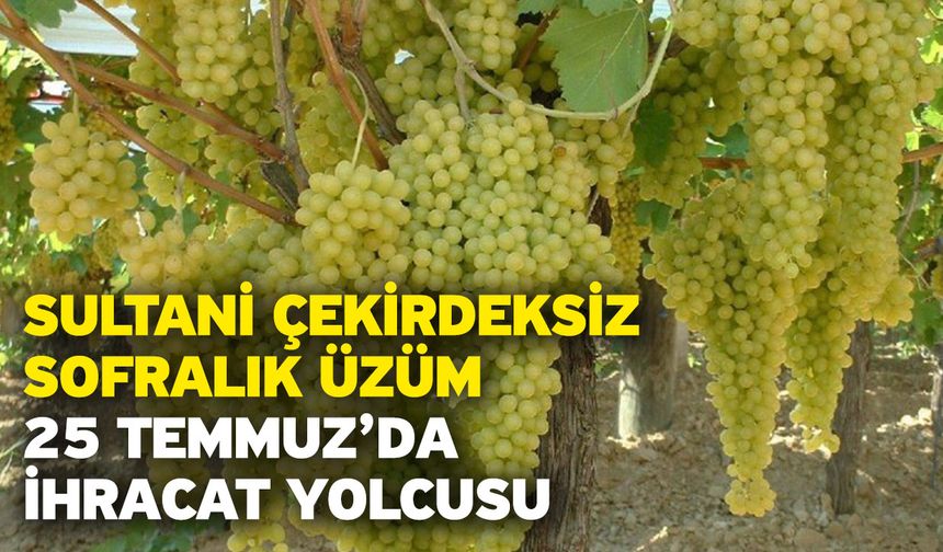 Sultani çekirdeksiz sofralık üzüm 25 Temmuz’da ihracat yolcusu