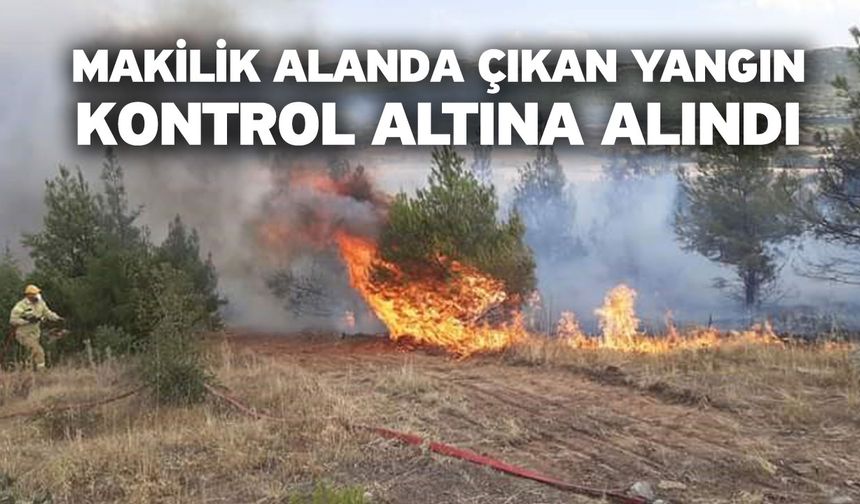 Makilik Alanda Çıkan Yangın Kontrol Altına Alındı