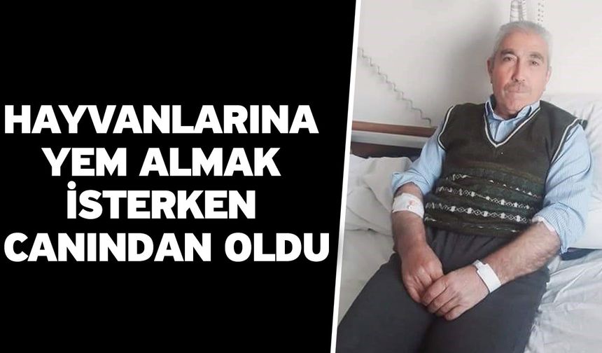 Hayvanlarına yem almak isterken canından oldu