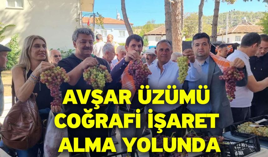 Avşar Üzümü Coğrafi İşaret Alma Yolunda