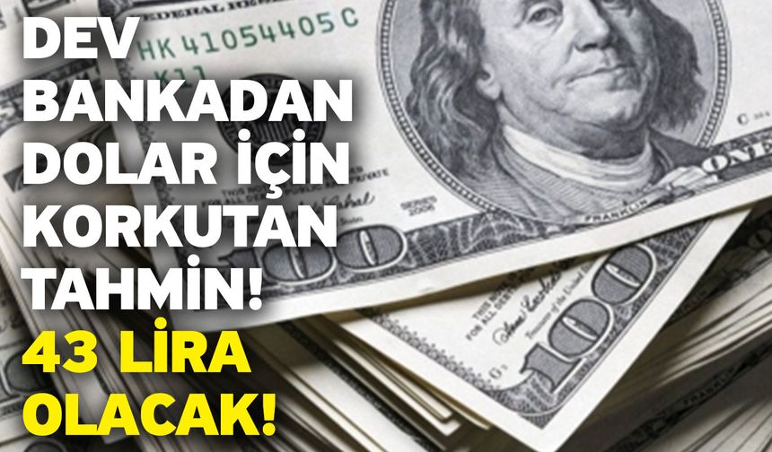 Dev bankadan dolar için korkutan tahmin: 43 lira olacak!