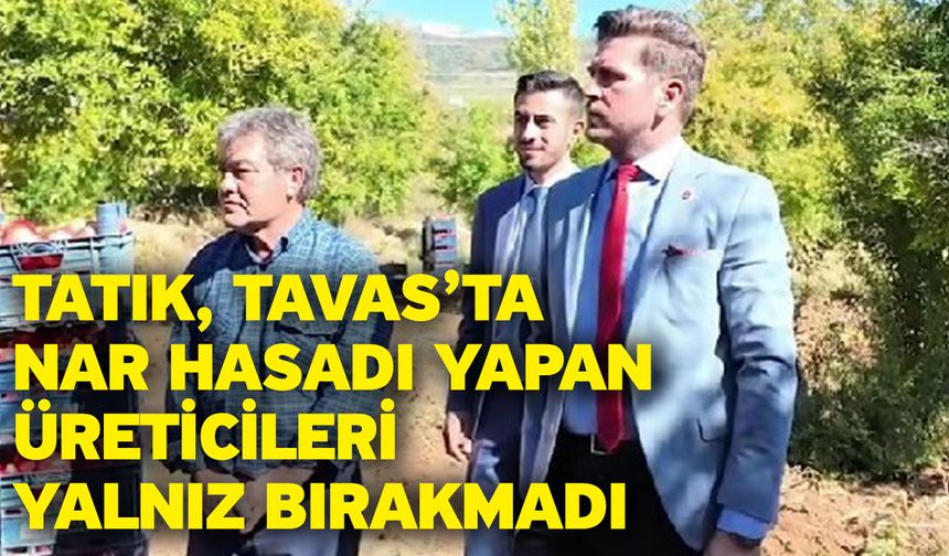 Tatık, Tavas’ta nar hasadı yapan üreticileri yalnız bırakmadı