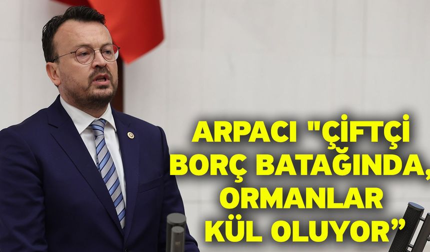 Arpacı "Çiftçi Borç Batağında, Ormanlar Kül Oluyor”