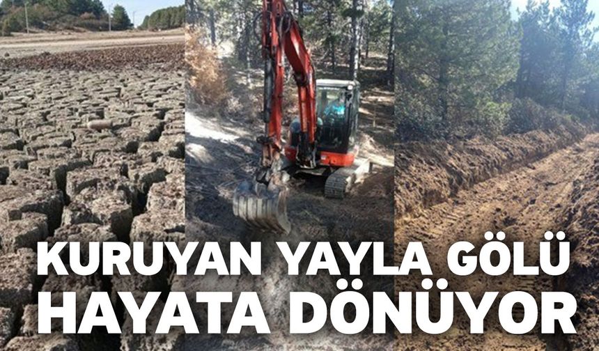 Kuruyan Yayla Gölü Hayata Dönüyor