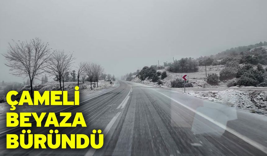 Çameli Beyaza Büründü