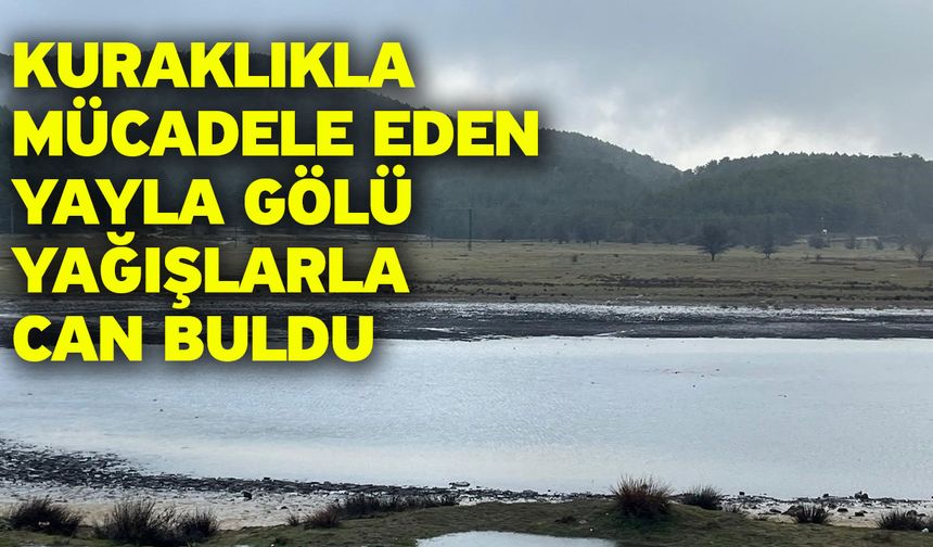 Kuraklıkla mücadele eden Yayla Gölü yağışlarla can buldu