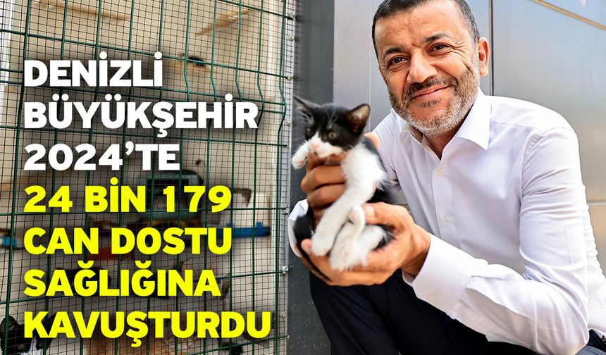 Denizli Büyükşehir 2024’te 24 Bin 179 Can Dostu Sağlığına Kavuşturdu