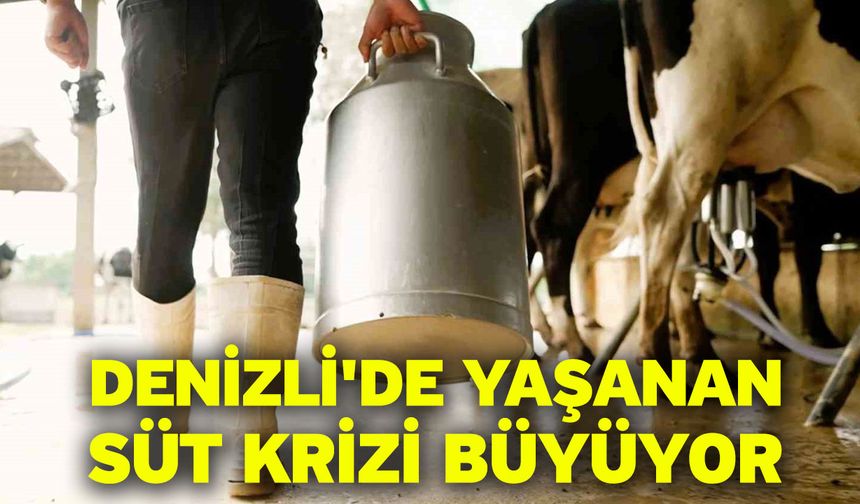 Denizli'de yaşanan süt krizi büyüyor