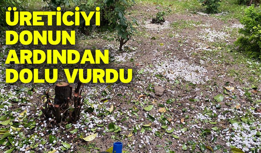 Üreticiyi donun ardından dolu vurdu