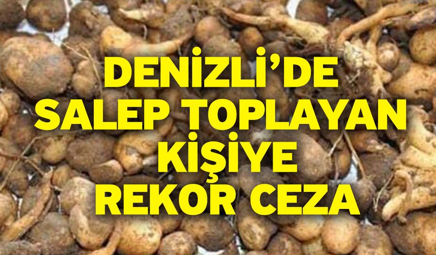 Denizli’de Salep Toplayan Kişiye Rekor Ceza