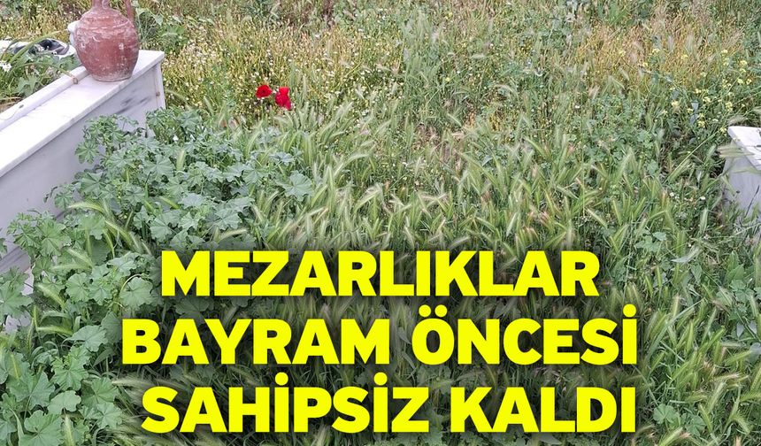 Mezarlıklar Bayram Öncesi Sahipsiz Kaldı