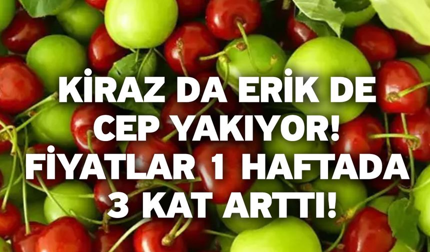 Kiraz da Erik de Cep Yakıyor! Fiyatlar 1 Haftada 3 Kat Arttı!