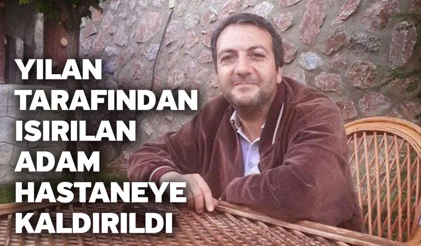 Yılan tarafından ısırılan adam hastaneye kaldırıldı