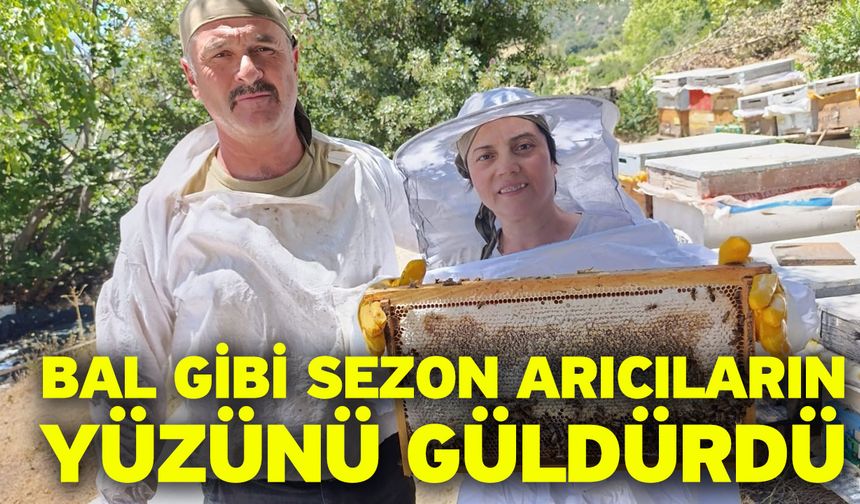 Bal gibi sezon arıcıların yüzünü güldürdü