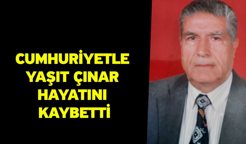 Cumhuriyetle yaşıt çınar hayatını kaybetti