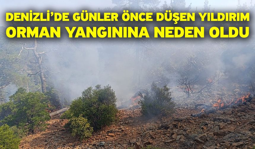 Denizli’de günler önce düşen yıldırım orman yangınına neden oldu