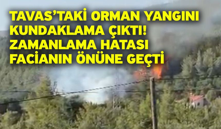 Tavas’taki Orman Yangını Kundaklama Çıktı! Zamanlama Hatası Facianın Önüne Geçti