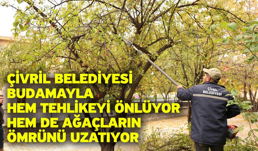 Çivril Belediyesi budamayla hem tehlikeyi önlüyor hem de ağaçların ömrünü uzatıyor