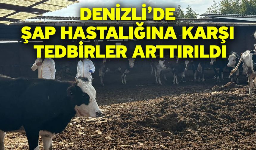Denizli’de şap hastalığına karşı tedbirler arttırıldı