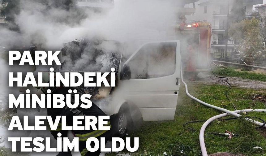 Park halindeki minibüs alevlere teslim oldu