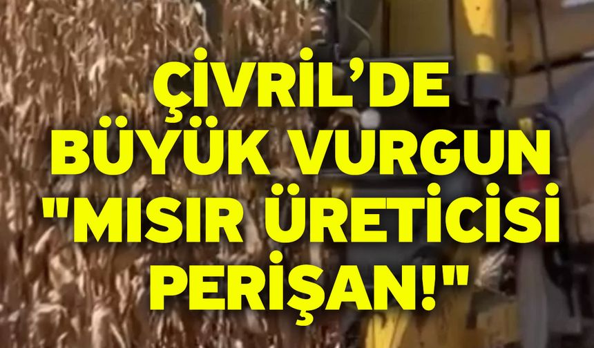 Çivril’de büyük vurgun "Mısır üreticisi perişan!"