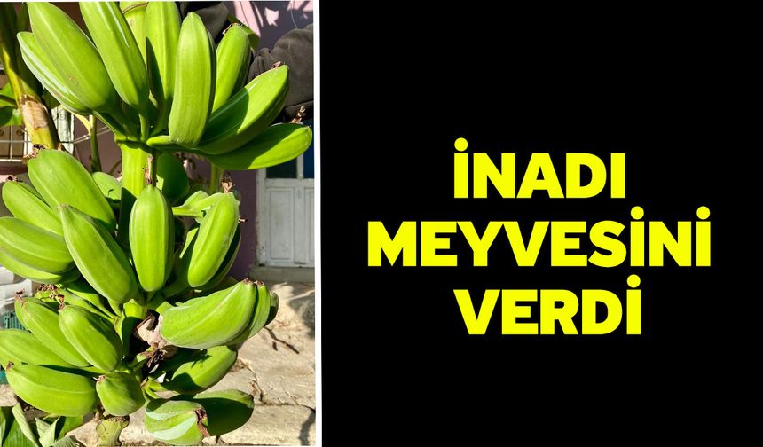 İnadı meyvesini verdi
