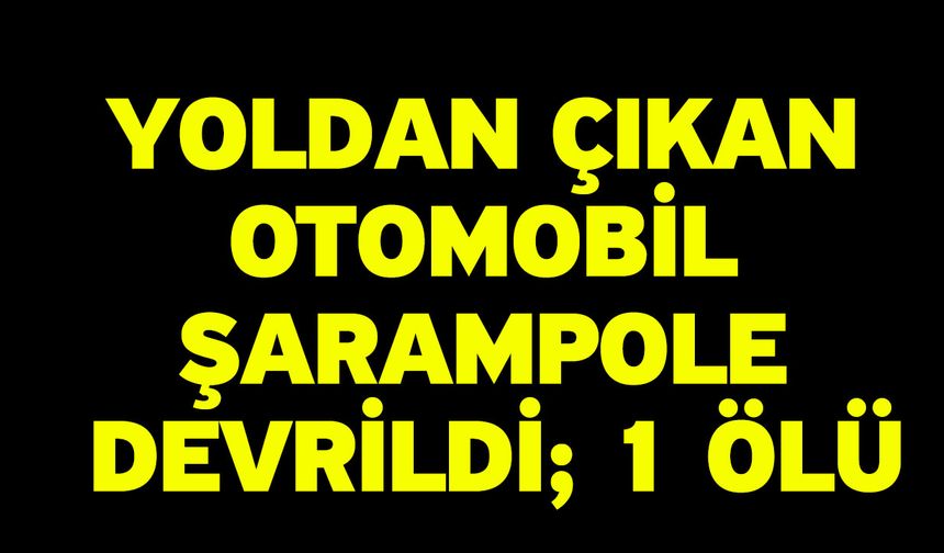 Yoldan çıkan otomobil şarampole devrildi; 1 ölü