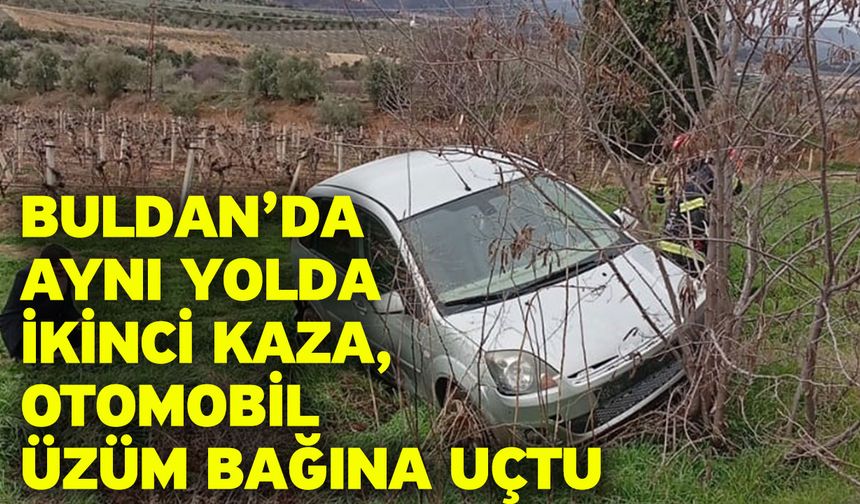 Buldan’da aynı yolda ikinci kaza, otomobil üzüm bağına uçtu
