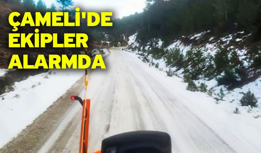 Çameli'de Ekipler Alarmda