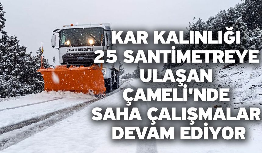 Kar kalınlığı 25 santimetreye ulaşan Çameli'nde saha çalışmalar devam ediyor