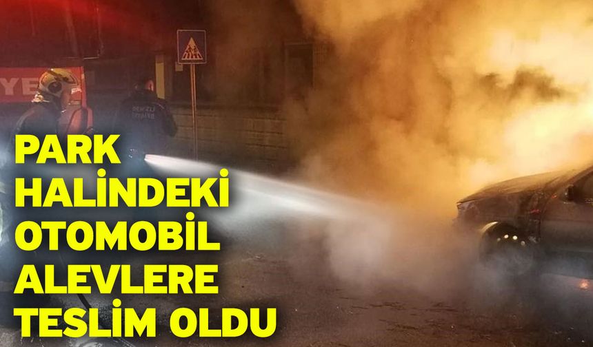 Park Halindeki Otomobil Alevlere Teslim Oldu