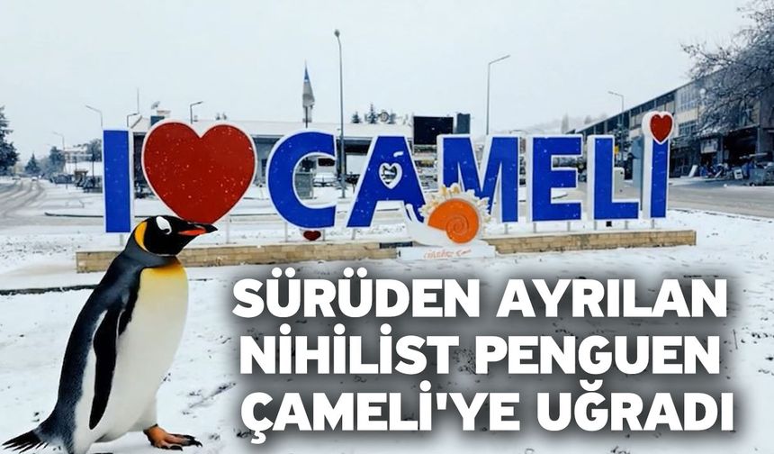 Sürüden ayrılan nihilist penguen Çameli'ye uğradı