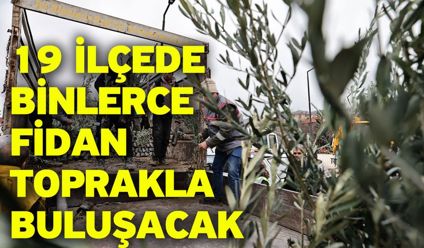 Denizli Büyükşehir’den üreticiye zeytin fidanı desteği