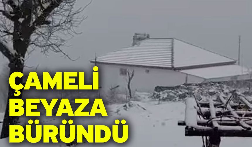 Çameli beyaza büründü