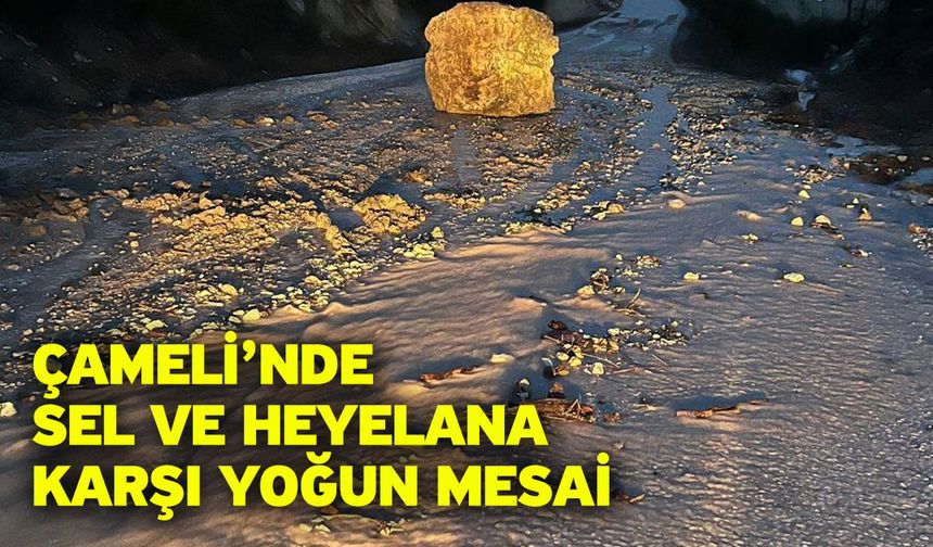 Çameli’nde sel ve heyelana karşı yoğun mesai