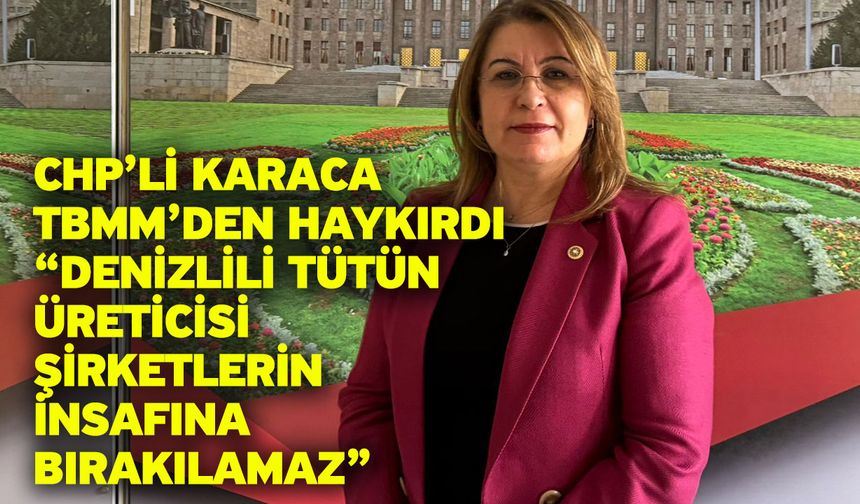 CHP’li Karaca TBMM’den Haykırdı “Denizlili Tütün Üreticisi Şirketlerin İnsafına Bırakılamaz”