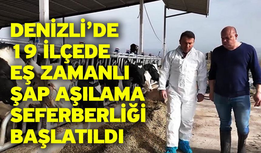 Denizli’de 19 İlçede Eş Zamanlı Şap Aşılama Seferberliği Başlatıldı