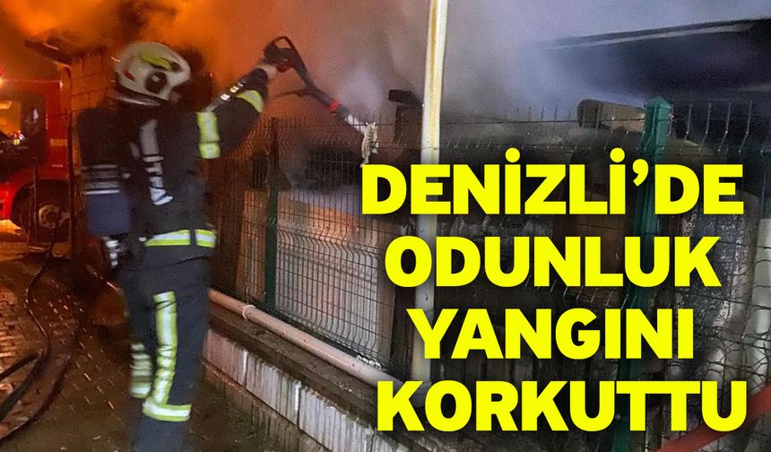 Denizli’de odunluk yangını korkuttu