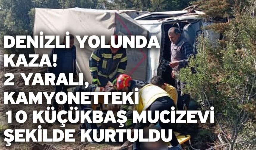 Denizli Yolunda Kaza! 2 Yaralı, Kamyonetteki 10 Küçükbaş Mucizevi Şekilde Kurtuldu