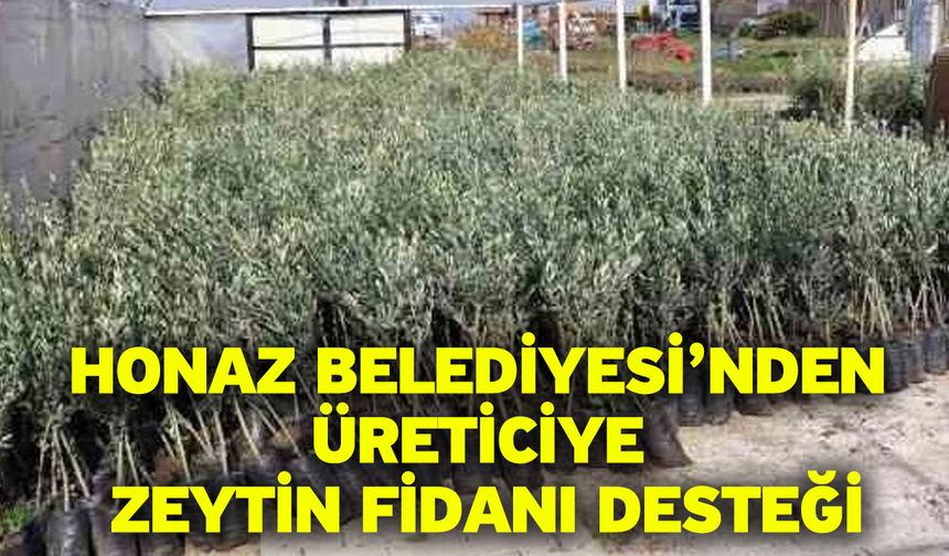 Honaz Belediyesi’nden Üreticiye Zeytin Fidanı Desteği