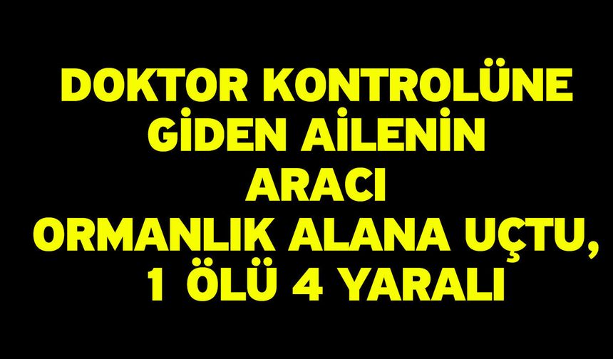 Doktor Kontrolüne Giden Ailenin Aracı Ormanlık Alana Uçtu, 1 Ölü 4 Yaralı