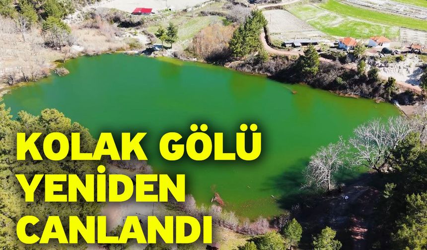 Kolak Gölü yeniden canlandı