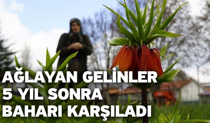 Ağlayan gelinler 5 yıl sonra baharı karşıladı